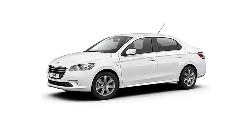 لوازم یدکی پژو 301