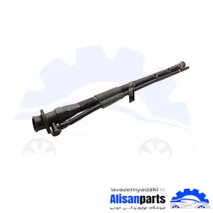 خرطومی باک تیبا