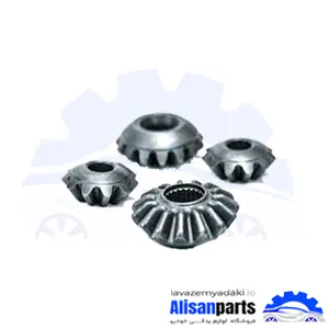 دنده دیشلی تیبا