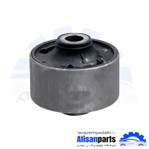 بوش طبق بزرگ سراتو