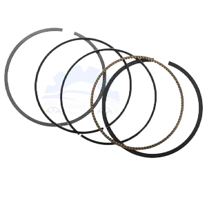 رینگ موتور آزرا