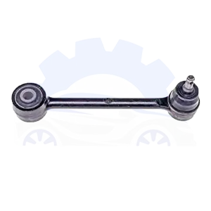 طبق عقب چپ کیا اپتیما