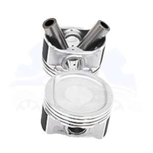 پیستون استاندارد جک S5