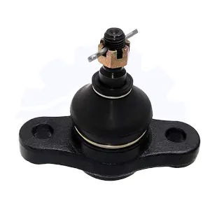 سیبک طبق جلو چپ سراتو