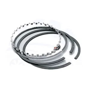 رینگ موتور سورنتو