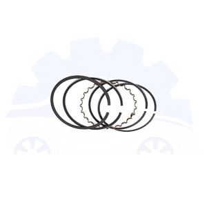 رینگ موتور سانگ یانگ تیوولی