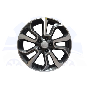 رینگ چرخ سانگ یانگ تیوولی