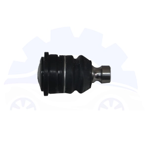 سیبک طبق جلو سانگ یانگ تیوولی