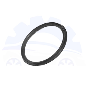 اورینگ واتر پمپ آریزو 5