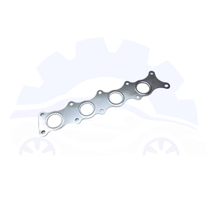 واشر منیفولد دیگنیتی