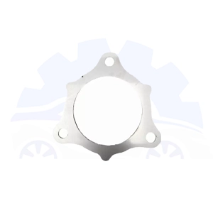 واشر توربو دیگنیتی