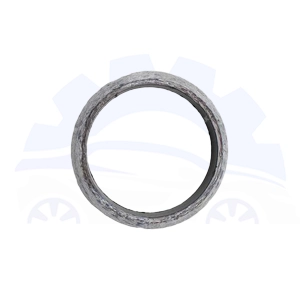 واشر گلویی اگزوز دیگنیتی