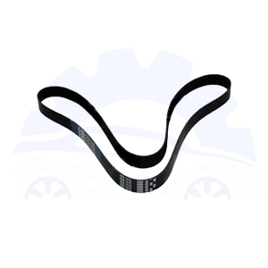 تسمه دینام دیگنیتی