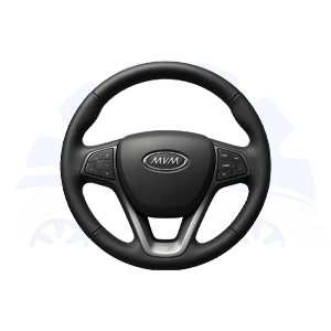 فرمان ام‌وی‌ام X33 at