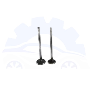 سوپاپ موتور سانگ یانگ اکتیون