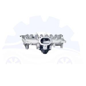 منیفولد دود سانگ یانگ اکتیون