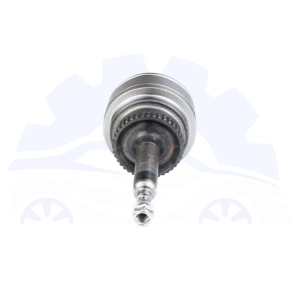 مشعلی پلوس سانگ یانگ اکتیون