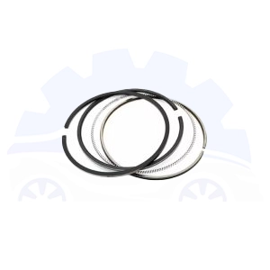 رینگ پیستون سانگ یانگ اکتیون