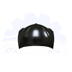 کاپوت سانگ یانگ اکتیون