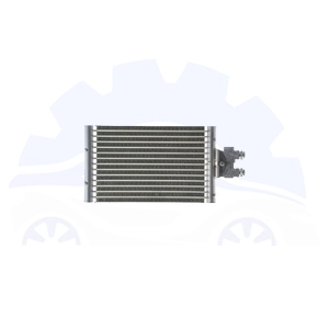 خنک کننده روغن گیربکس سانگ یانگ موسو